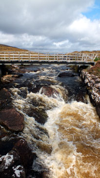 View from rustic bridge 2