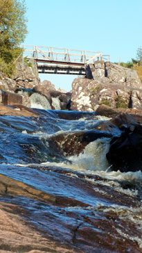 Downstream of the Falls